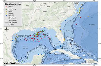 Killer whales in the Gulf of Mexico and North Atlantic off the Southeastern United States